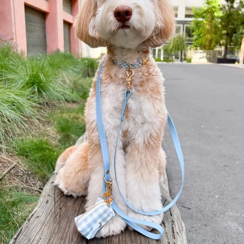 LAISSE POUR CHIEN WATERPROOF - BLEU CIEL