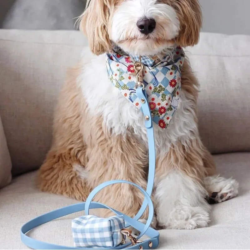 LAISSE POUR CHIEN WATERPROOF - BLEU CIEL