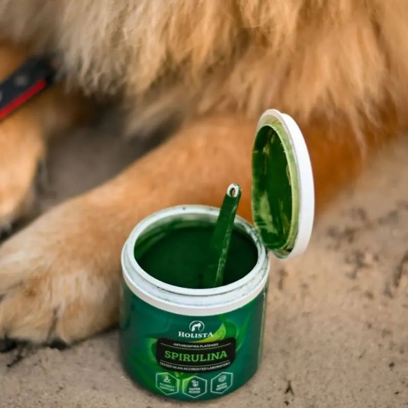 SPIRULINE POUR CHIEN ET CHAT - RENFORCE LE SYSTÈME IMMUNITAIRE (100G)