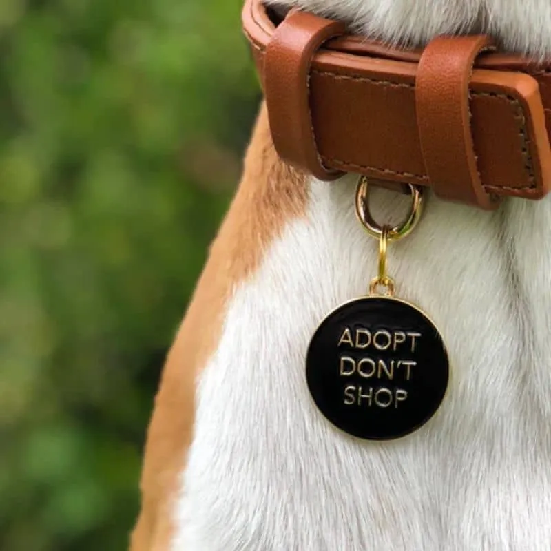 MÉDAILLE POUR CHIEN - ADOPT DON'T SHOP