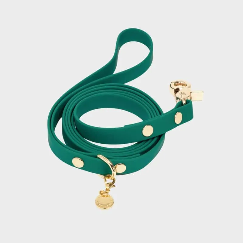 LAISSE POUR CHIEN WATERPROOF - VERT