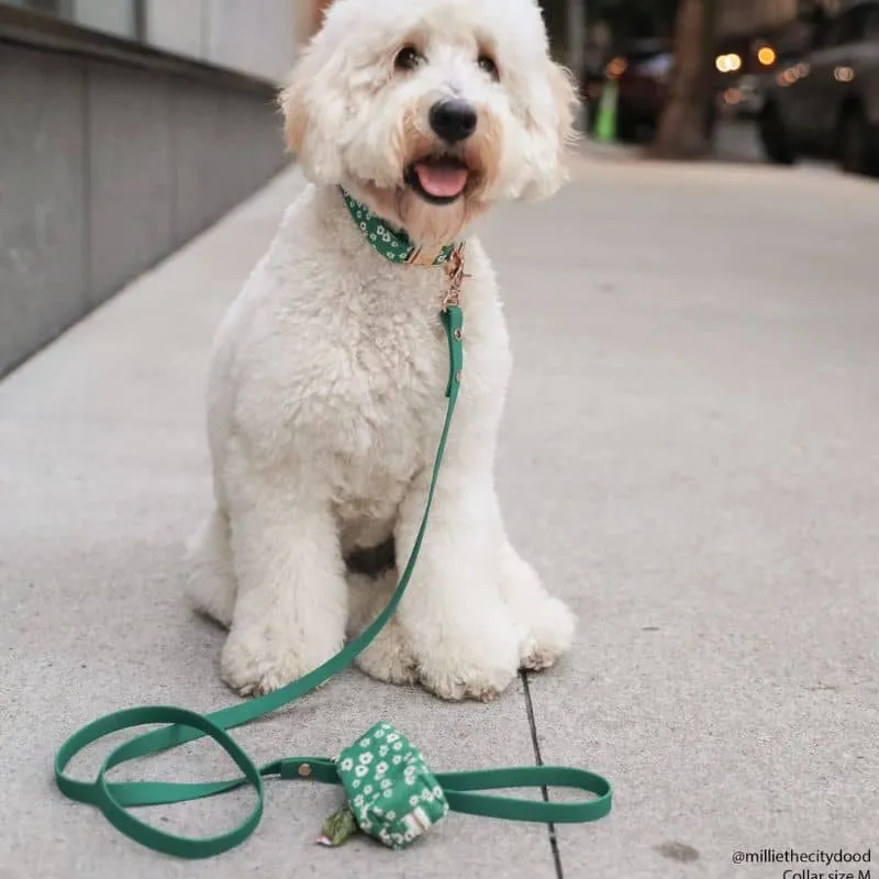 LAISSE POUR CHIEN WATERPROOF - VERT