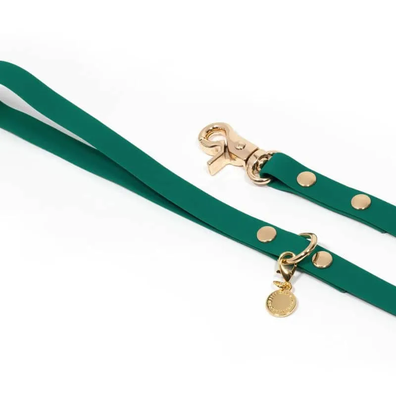 LAISSE POUR CHIEN WATERPROOF - VERT