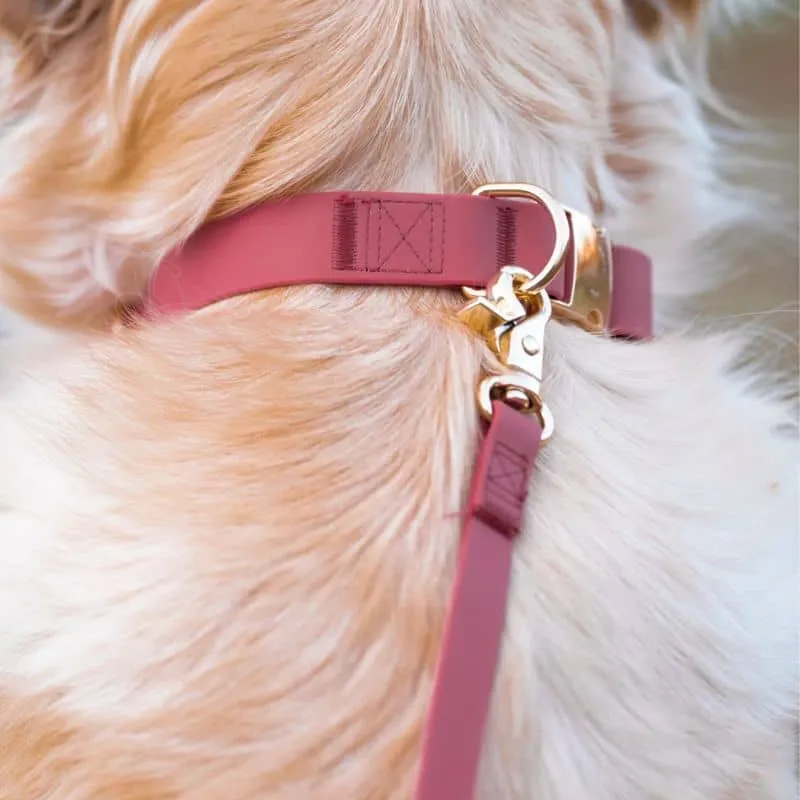 LAISSE POUR CHIEN WATERPROOF - FRAMBOISE