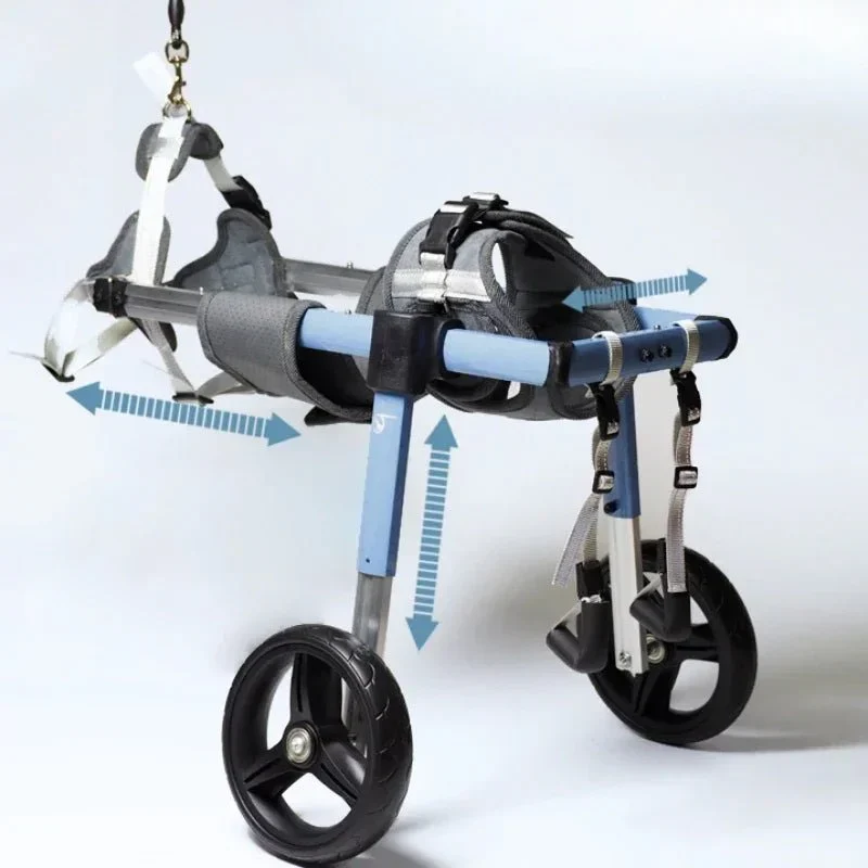 Chariot Marche Chien Handicapé Mobilité