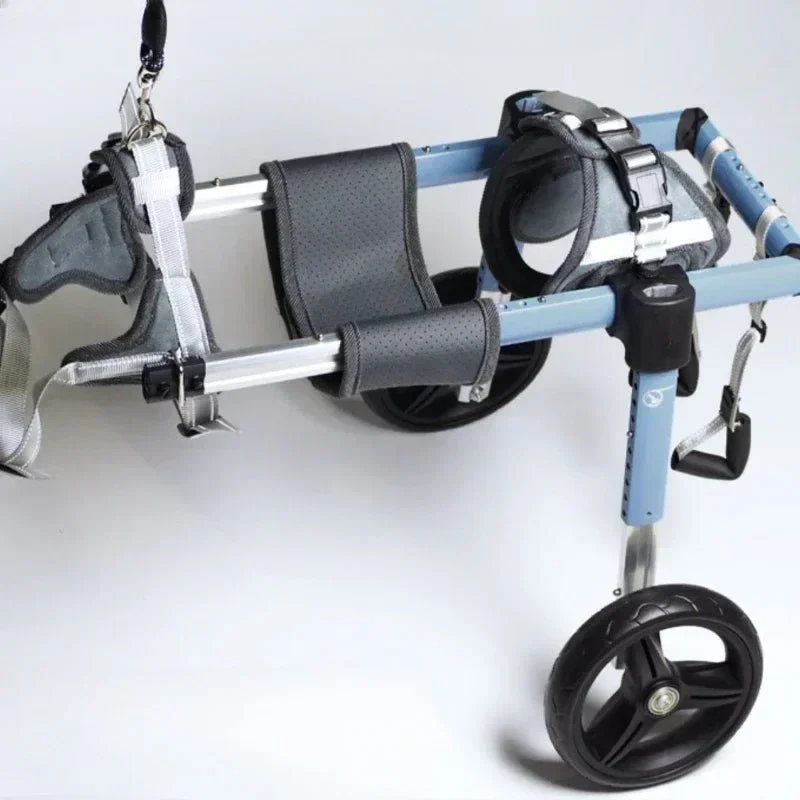 Chariot Marche Chien Handicapé Mobilité