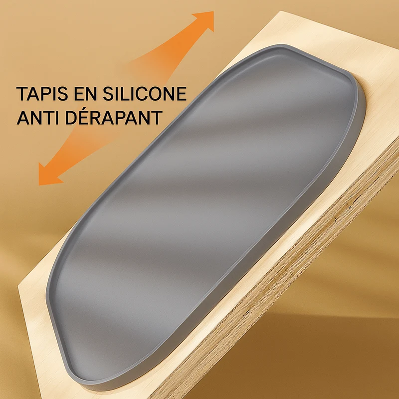 Tapis Silicone Absorbant Gamelle Gros Chien