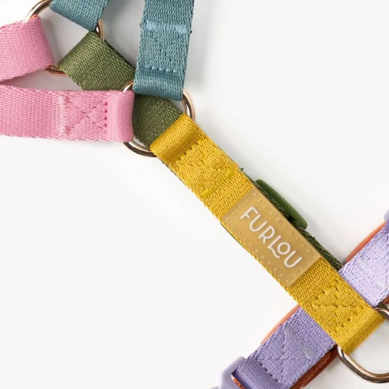 🆕 HARNAIS STRAP (EN H) POUR CHIEN - RAINBOW 🌈