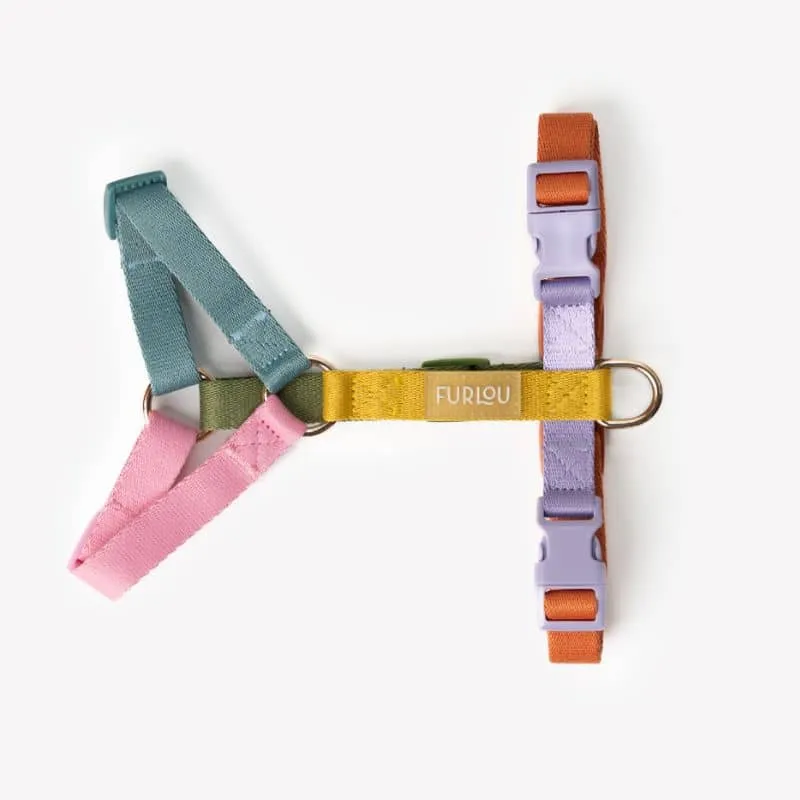 🆕 HARNAIS STRAP (EN H) POUR CHIEN - RAINBOW 🌈