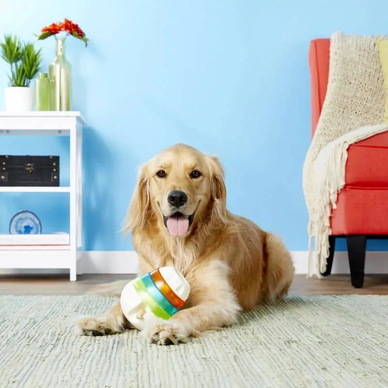 JOUET D’OCCUPATION DISTRIBUTEUR DE FRIANDISES OU DE CROQUETTES POUR CHIEN - JW TREAT TOWER (2 TAILLES DISPO)