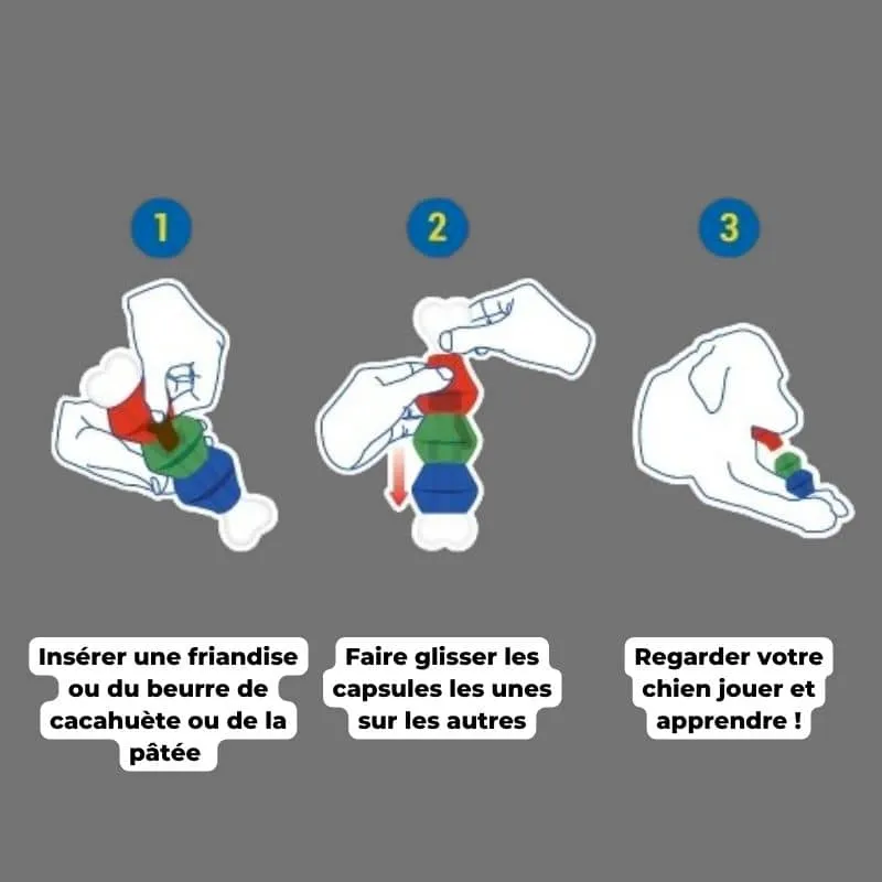 JOUET D’OCCUPATION À MÂCHER POUR CHIEN - JW EVERTUFF TREAT POD