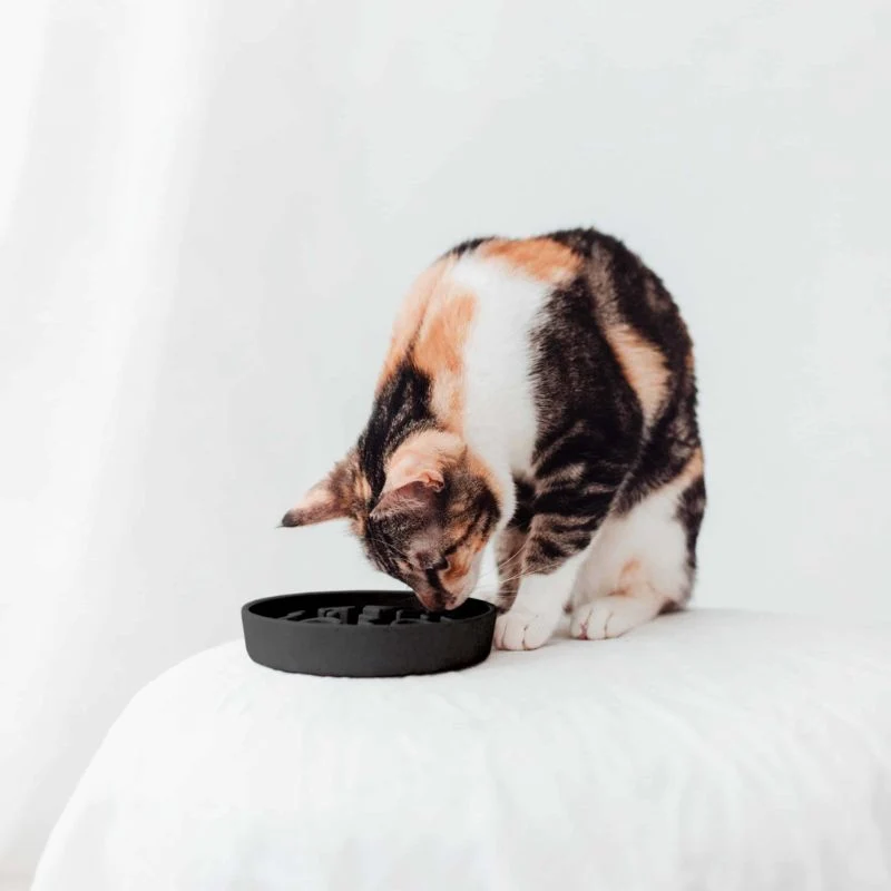 GAMELLE ANTI-GLOUTON POUR CHAT EN BAMBOU (3 COULEURS DISPO)