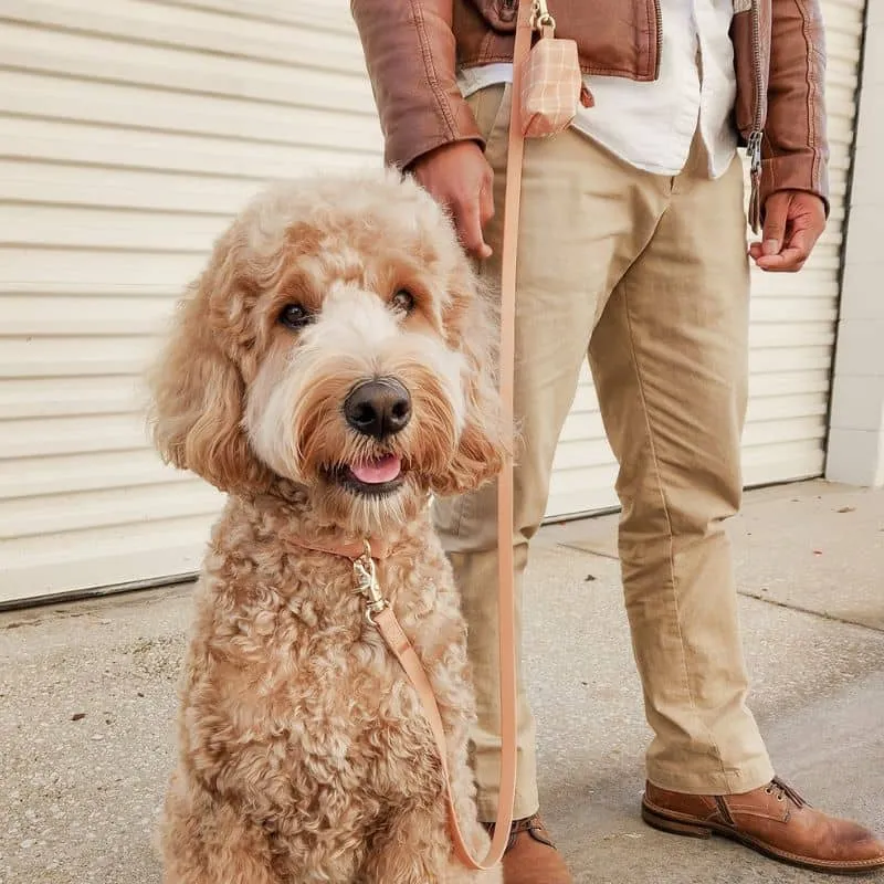 LAISSE POUR CHIEN WATERPROOF - MARRON CHAI