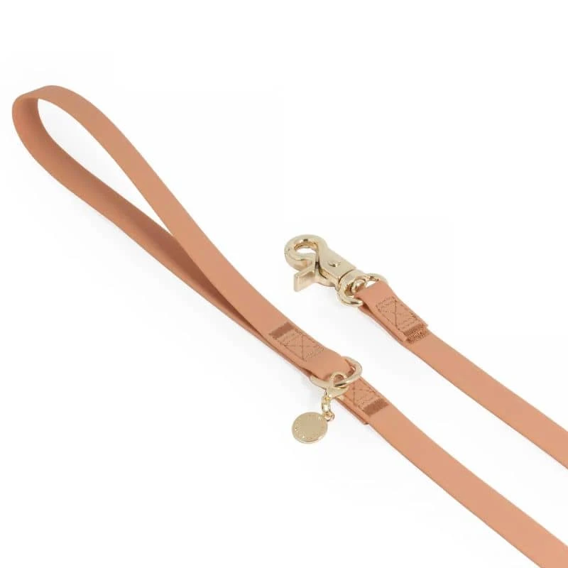 LAISSE POUR CHIEN WATERPROOF - MARRON CHAI