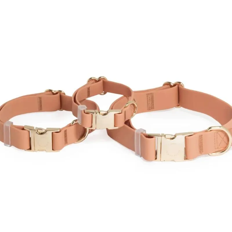COLLIER POUR CHIEN WATERPROOF - MARRON CHAI