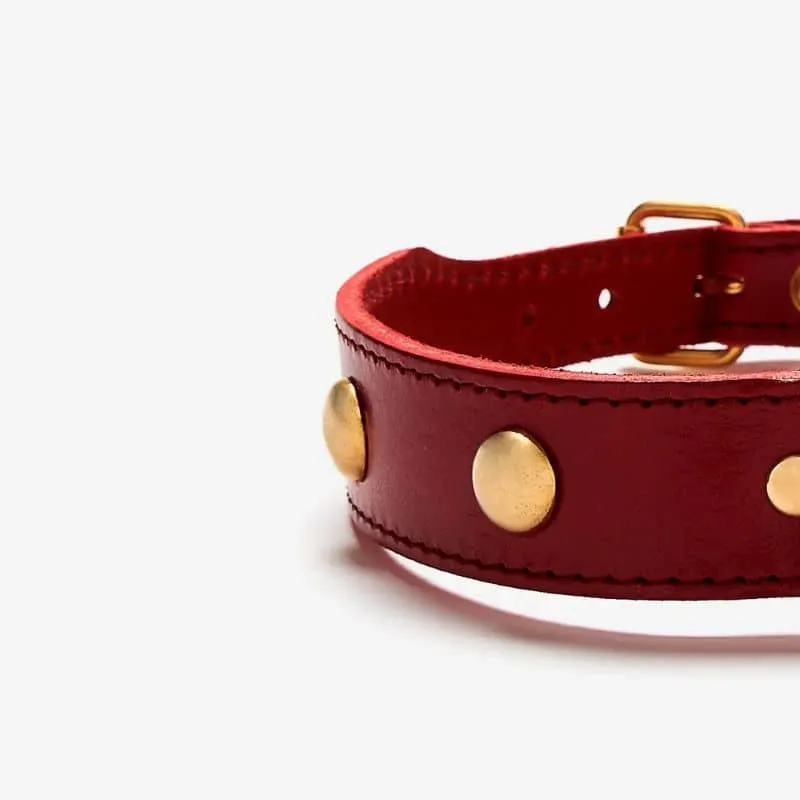 COLLIER EN CUIR POUR CHIEN - ROUGE AVEC CLOUS RONDS DORÉS