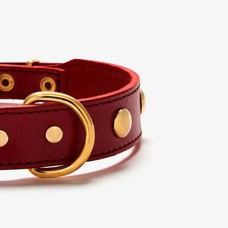 COLLIER EN CUIR POUR CHIEN - ROUGE AVEC CLOUS RONDS DORÉS