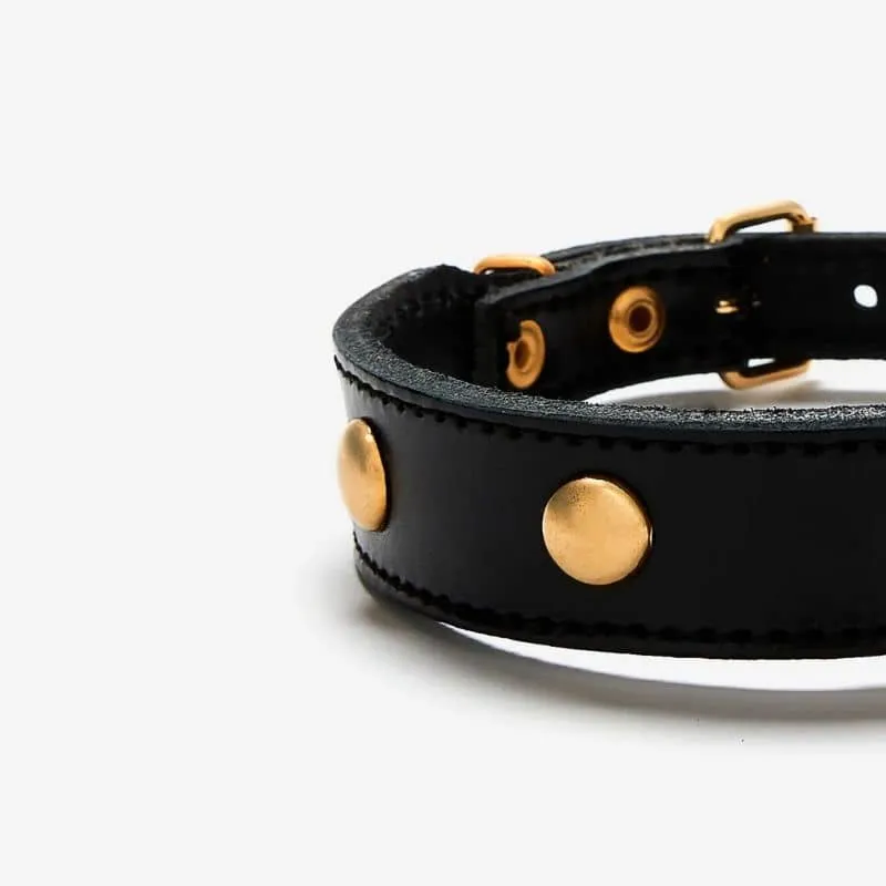 COLLIER EN CUIR POUR CHIEN - NOIR AVEC CLOUS RONDS DORÉS