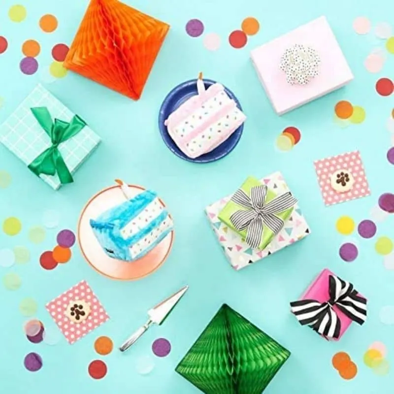KIT PELUCHES ANNIVERSAIRE POUR CHIEN - BLEU 🎈🎂🥳