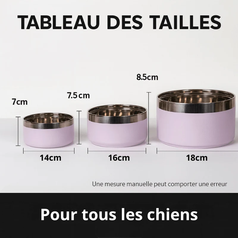 Grande Gamelle Antidérapante Colorée Gros Chien
