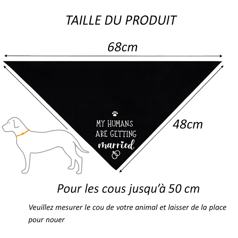 Bandana Mariage Élégant Gros Chien Cérémonie
