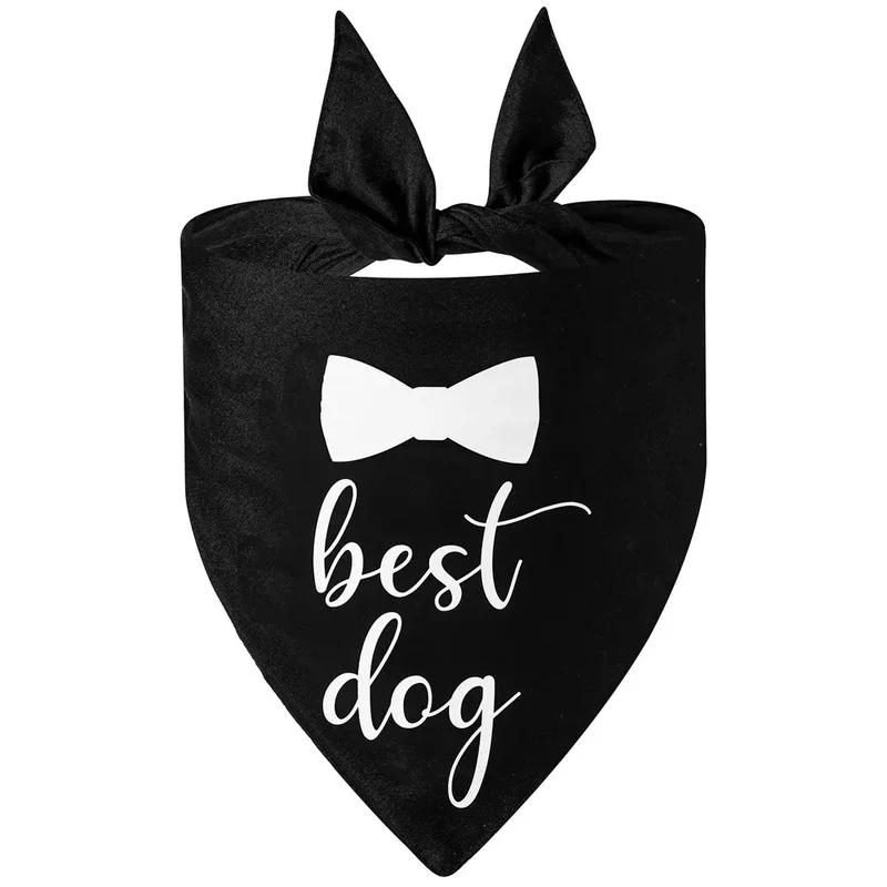 Bandana Mariage Élégant Gros Chien Cérémonie
