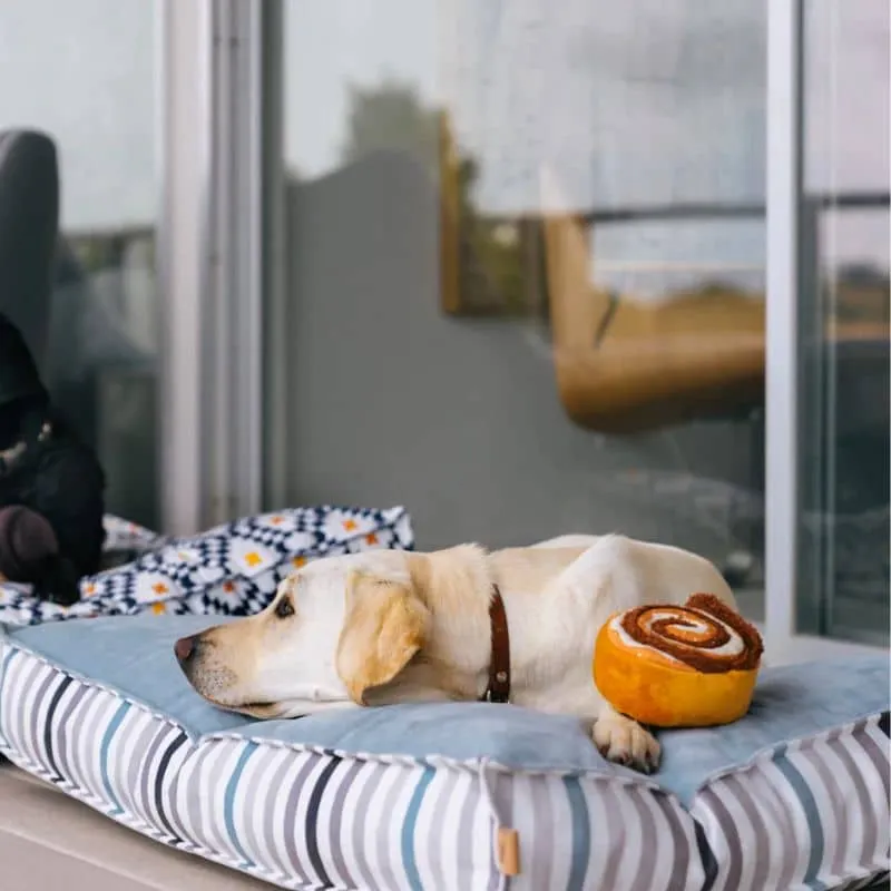 PELUCHE POUR CHIEN - CINNAMON ROLL (2 TAILLES DISPOS)