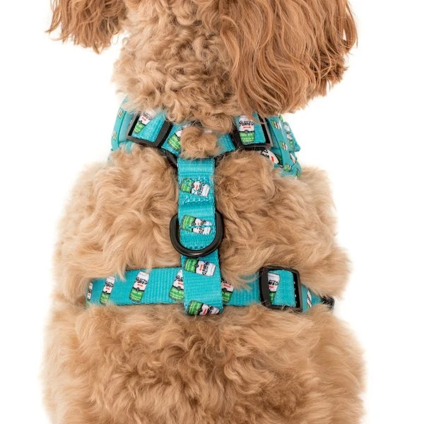 HARNAIS POUR CHIEN IMPRIME - DOGGO BIÈRE 🍻
