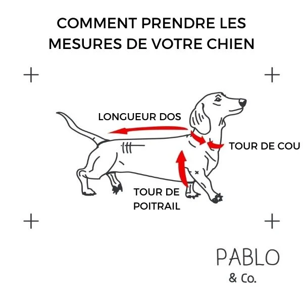 HARNAIS POUR CHIEN IMPRIME - DOGGO BIÈRE 🍻