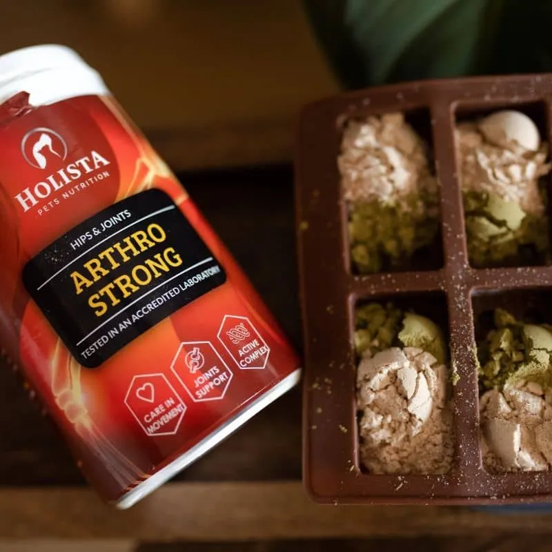 COMPLÉMENT ALIMENTAIRE ARTHRO STRONG - SOUTIEN ARTICULATIONS POUR CHIEN ET CHAT
