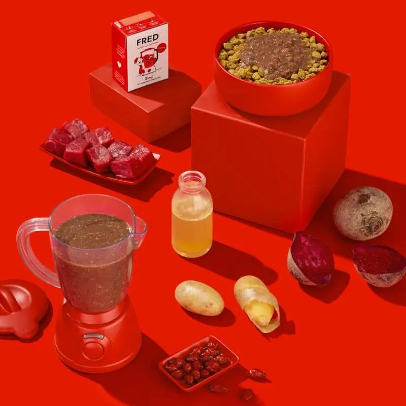 SMOOTHIE POUR CHIEN (IDÉAL TAPIS DE LÉCHAGE) - BOEUF & ÉGLANTIER