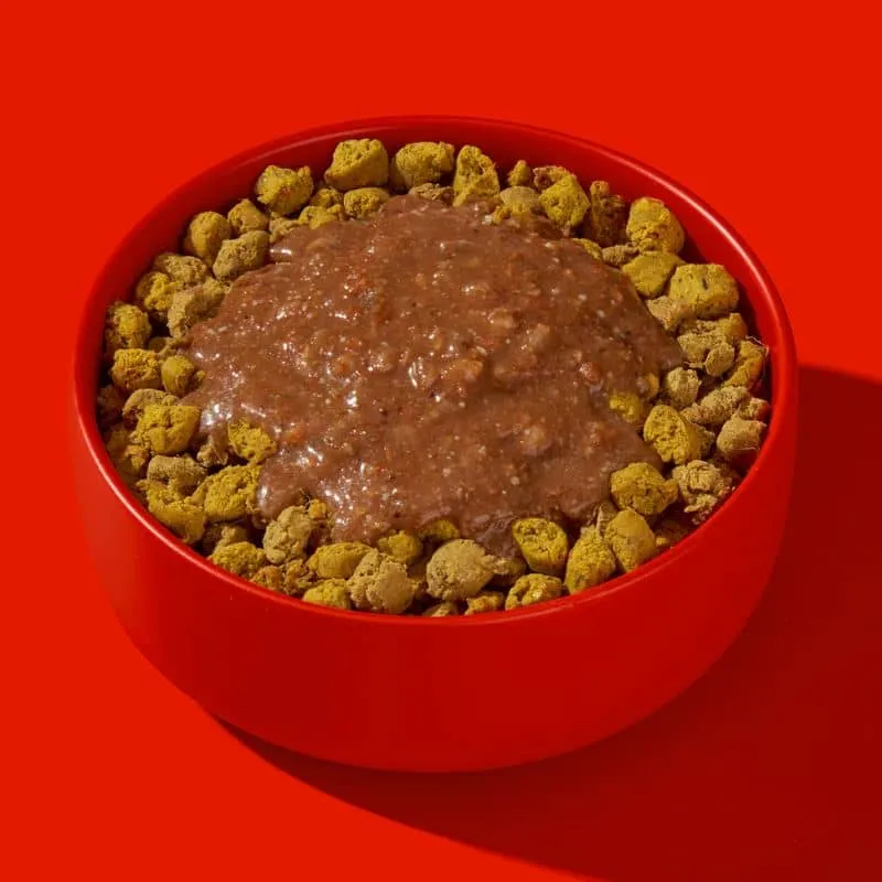 SMOOTHIE POUR CHIEN (IDÉAL TAPIS DE LÉCHAGE) - BOEUF & ÉGLANTIER