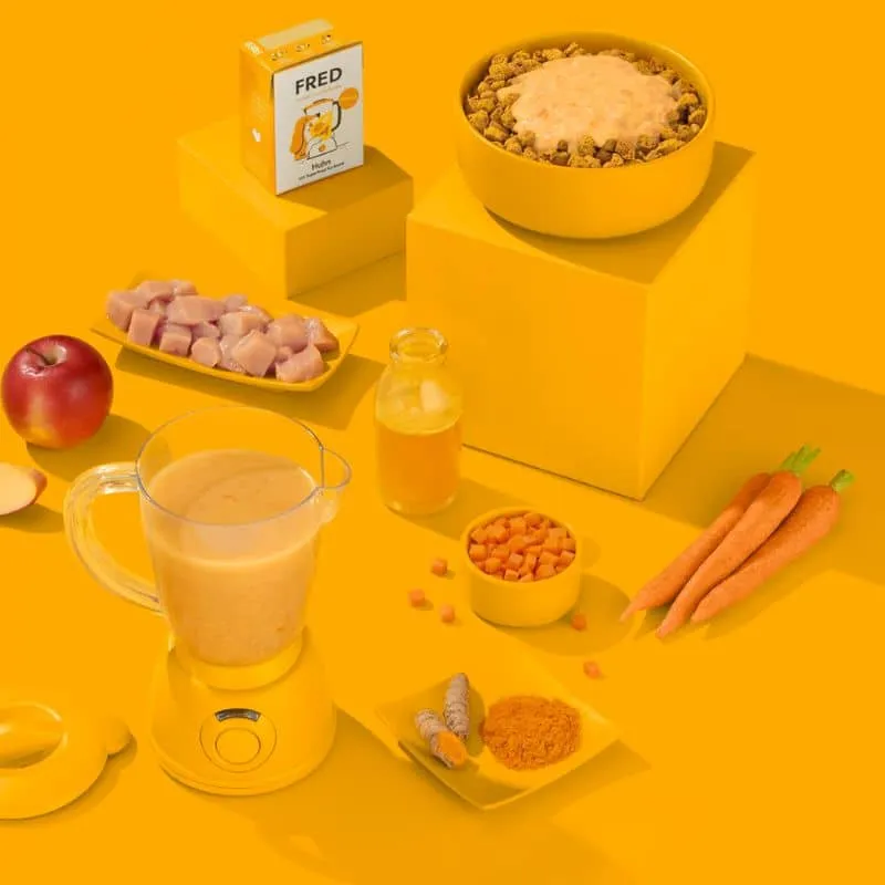 SMOOTHIE POUR CHIEN (IDÉAL TAPIS DE LÉCHAGE) - POULET & CURCUMA