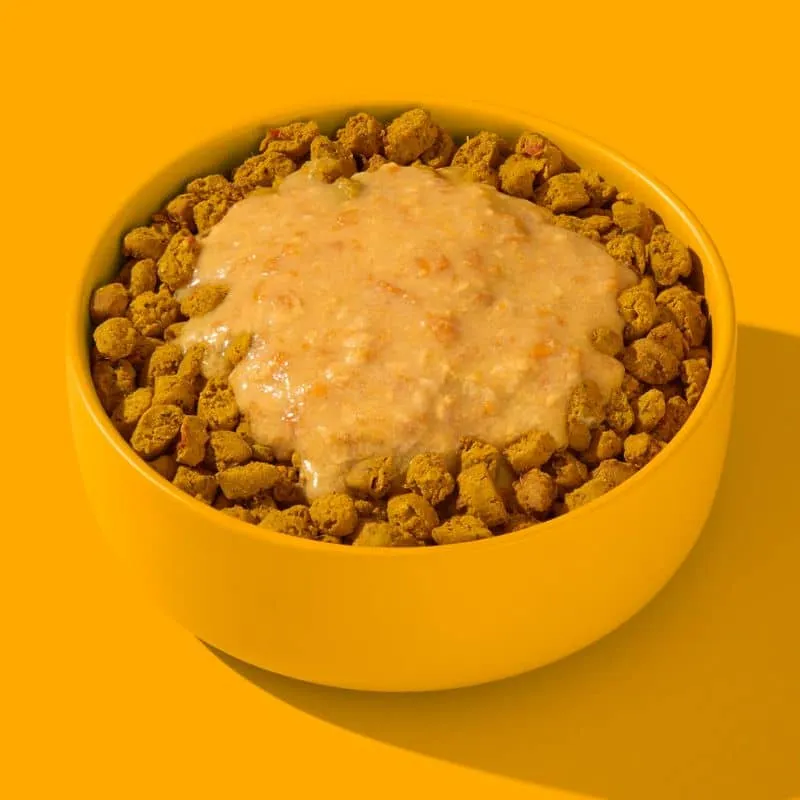 SMOOTHIE POUR CHIEN (IDÉAL TAPIS DE LÉCHAGE) - POULET & CURCUMA