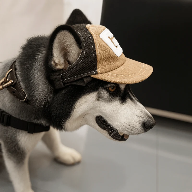 Casquette Protection Solaire Chien Ajustable