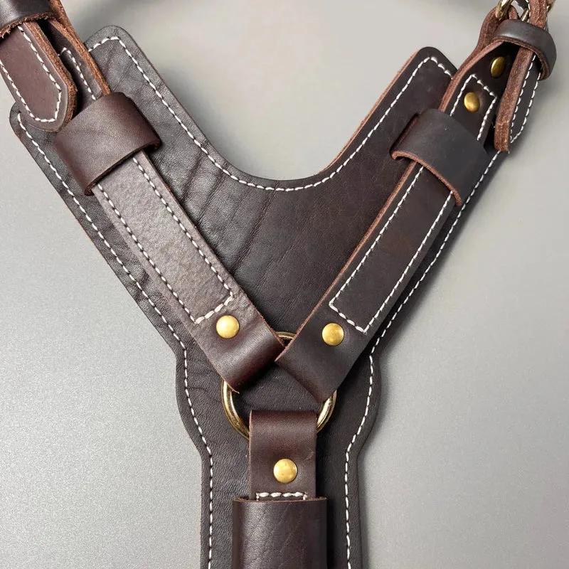 Harnais Cuir Y Premium Gros Chien