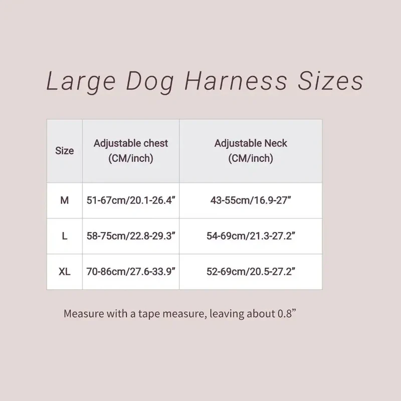 Harnais Cuir Y Premium Gros Chien