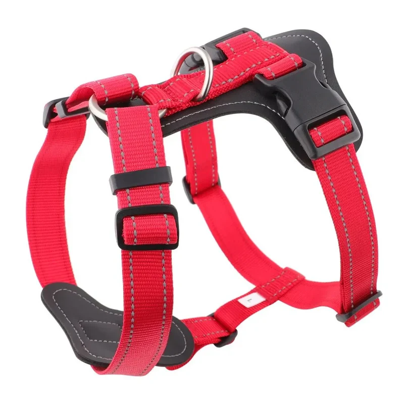 Harnais Cuir Renforcé Anti-Traction Gros Chien