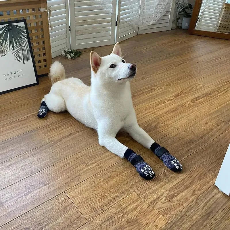 Chaussettes Antidérapantes Séniors Gros Chien