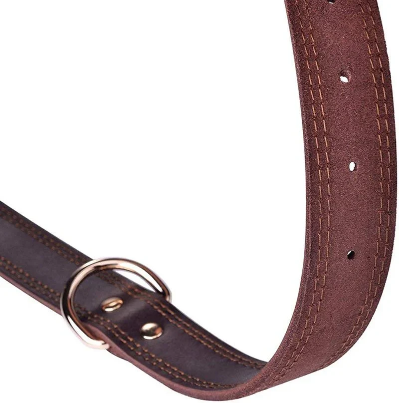 Collier Cuir Brun Haut de Gamme Gros Chien