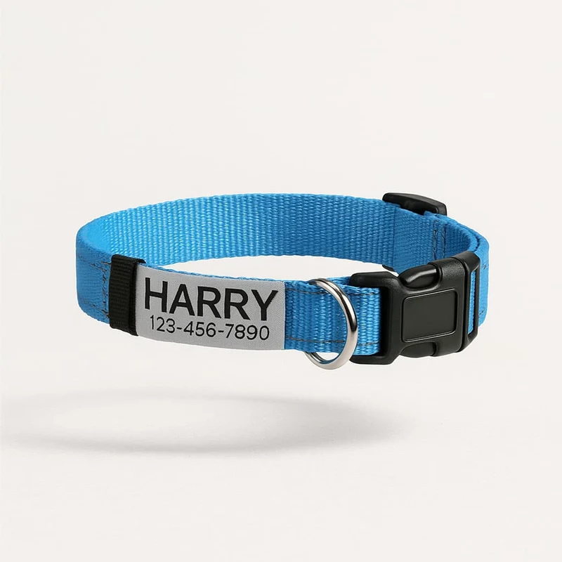 Collier Réfléchissant Personnalisable Identité Gros Chien