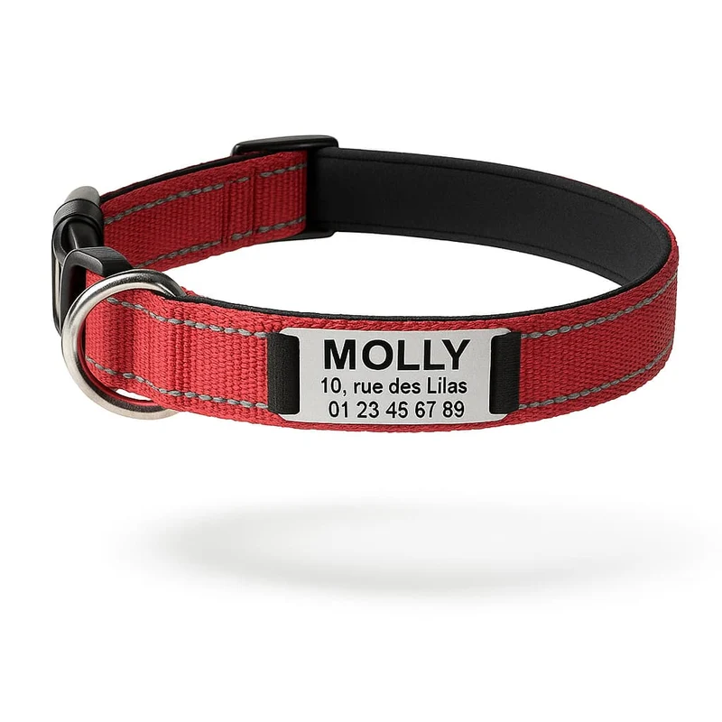 Collier Réfléchissant Personnalisable Identité Gros Chien