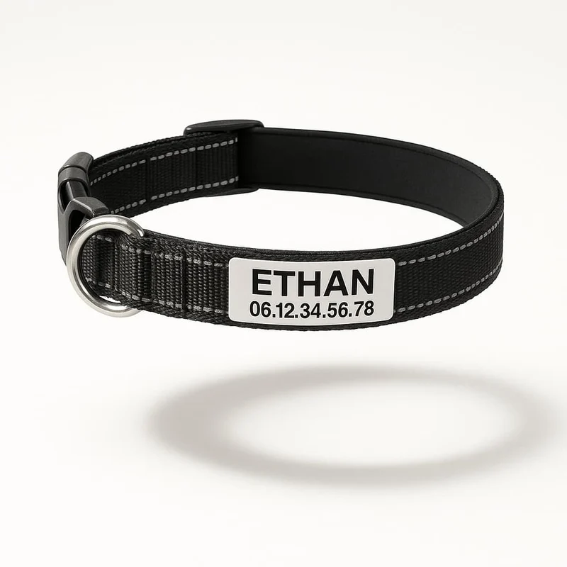 Collier Réfléchissant Personnalisable Identité Gros Chien