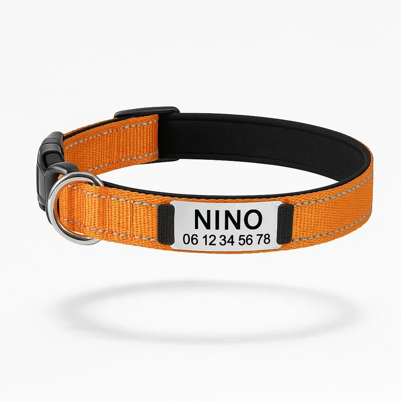 Collier Réfléchissant Personnalisable Identité Gros Chien