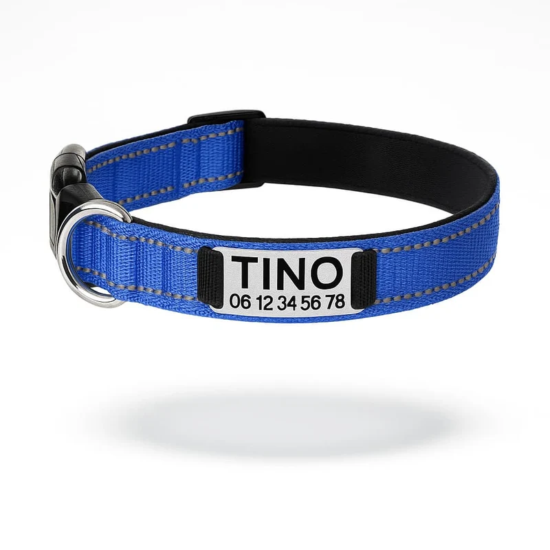 Collier Réfléchissant Personnalisable Identité Gros Chien
