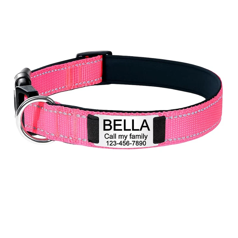 Collier Réfléchissant Personnalisable Identité Gros Chien