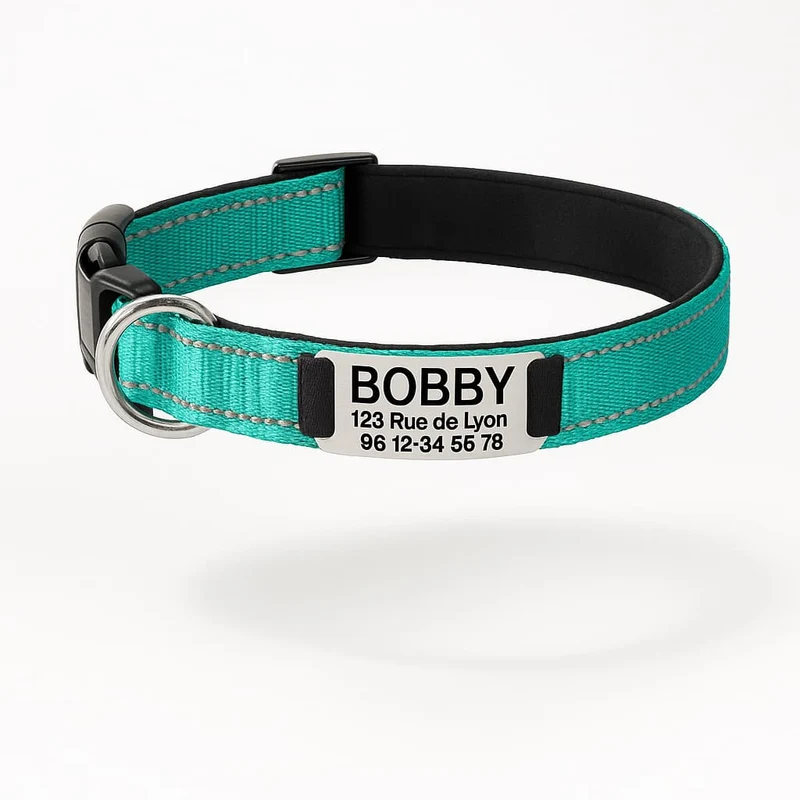 Collier Réfléchissant Personnalisable Identité Gros Chien