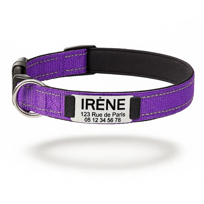 Collier Réfléchissant Personnalisable Identité Gros Chien