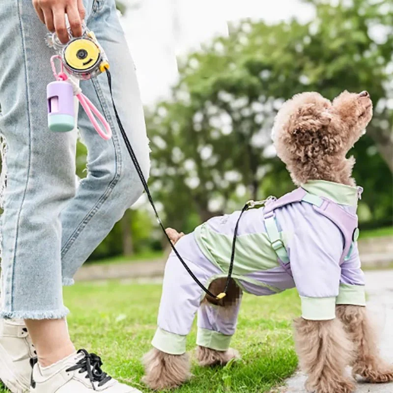 Laisse Rétractable 3m Télescopique Chien