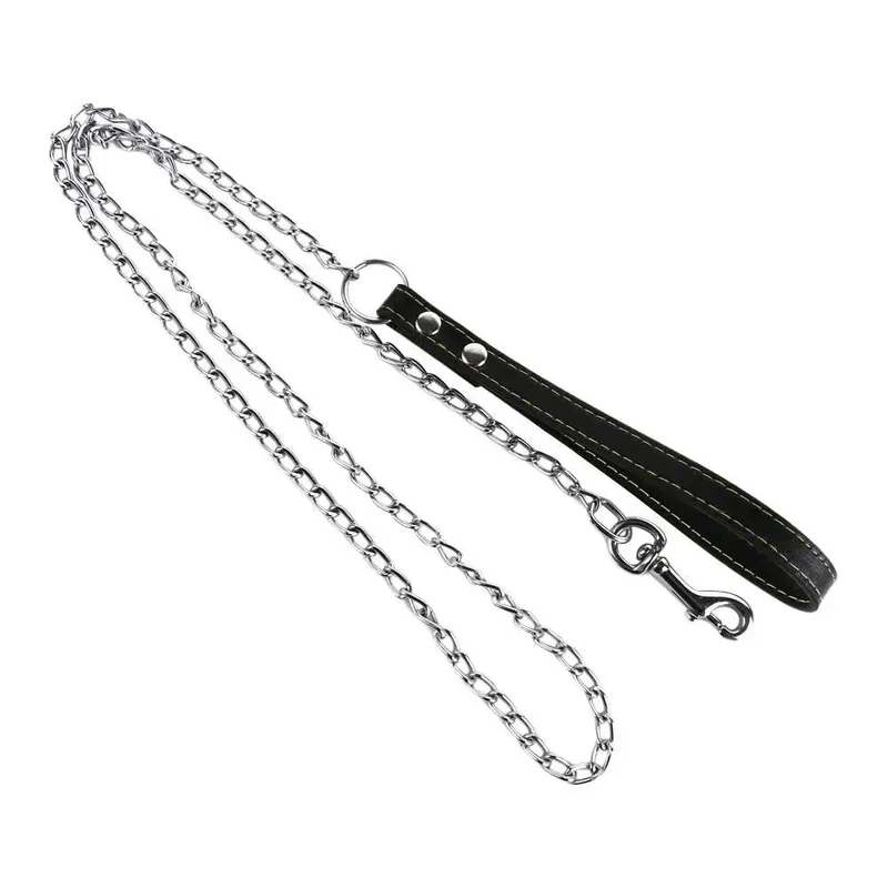 Laisse Chaîne Métal Chiot Anti-Mâchouille